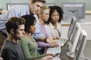 software developers