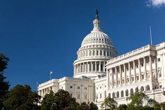 government purchase order financing