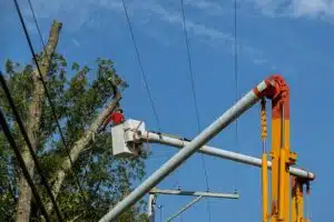 utility vegetation management